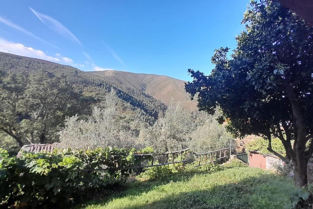 Holiday home Adcasinha Em Arganil *