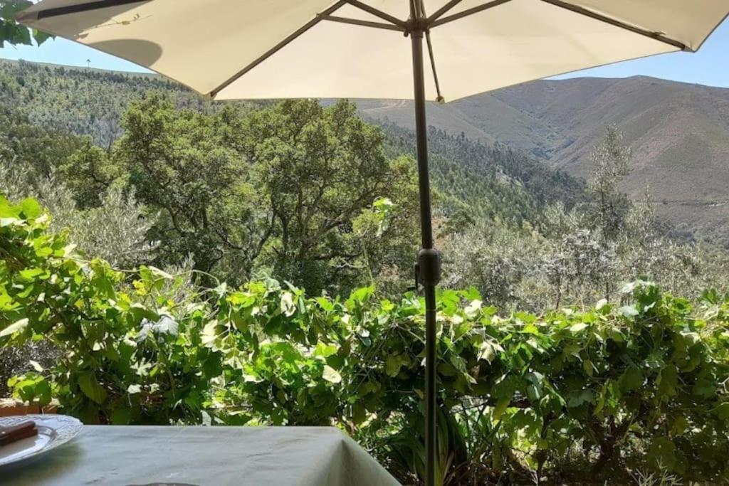 Holiday home Adcasinha Em Arganil *