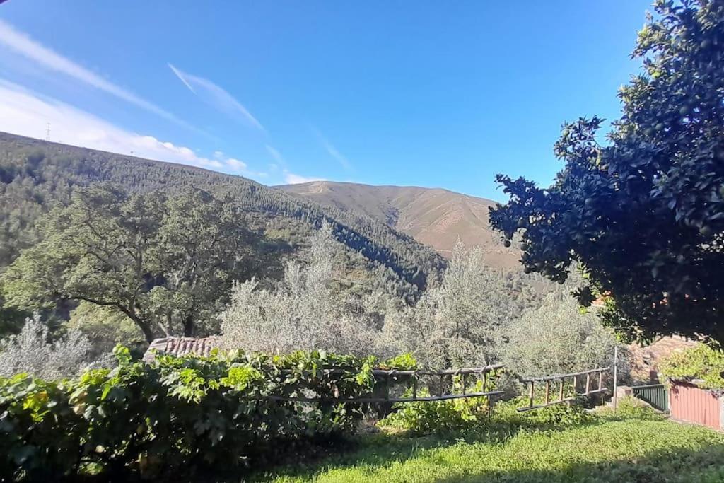 Holiday home Adcasinha Em Arganil Adcasal